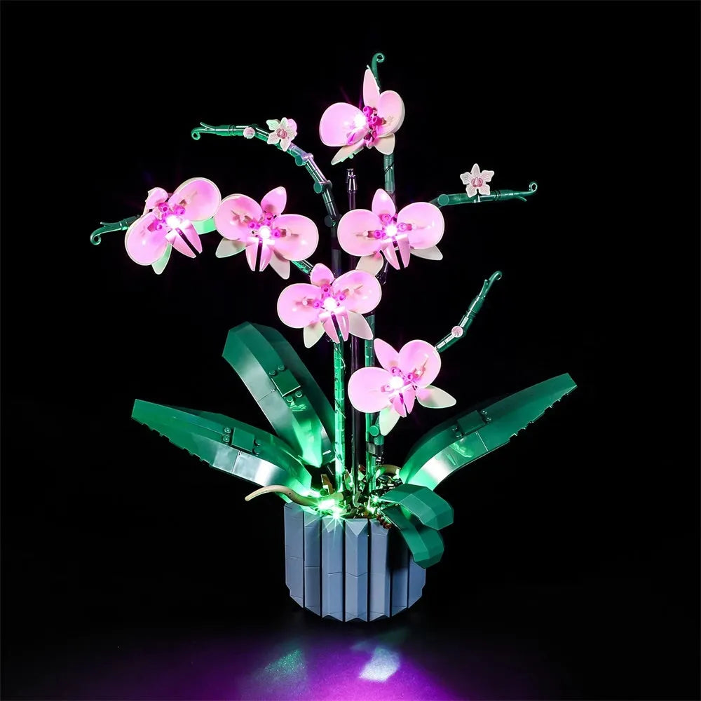 Lights Set DIY LED Lights Set For Ideas 10311 Orchid Plant Construction Set Toys - 11